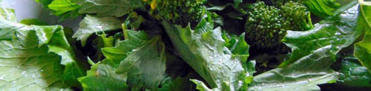 Frierielli