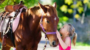 فتاة صغيرة مع الحصان