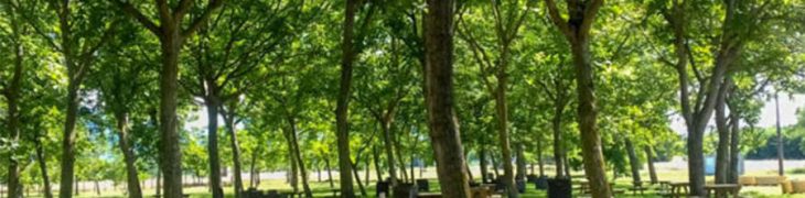Parco del Volturno