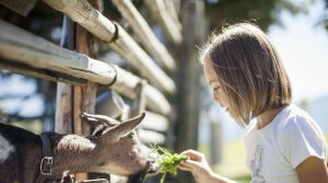 動物園の女の子