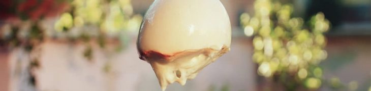 Caciocavallo erhängte sich