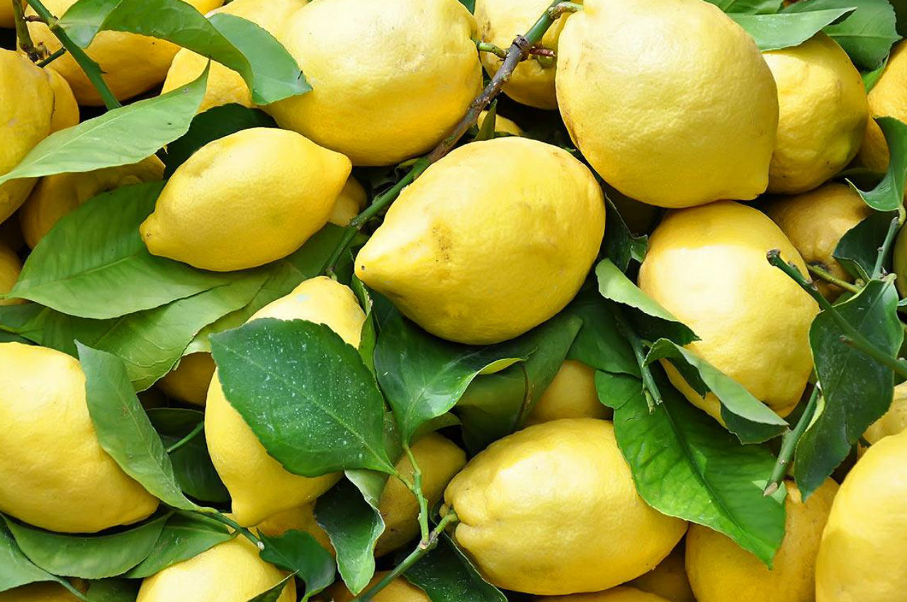 festa do limão