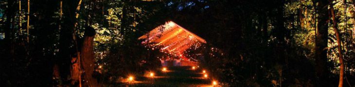 Candele nel bosco