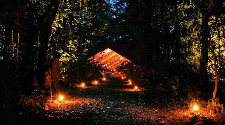 Velas en el bosque