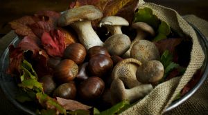 Festival de Castanhas, Trufas e Cogumelos Porcini