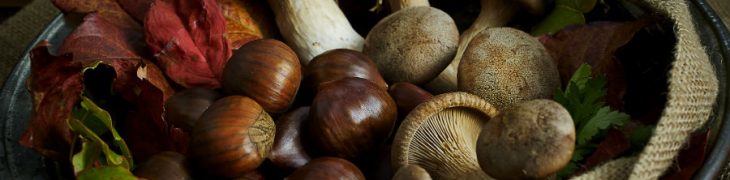 Festa della Castagna del Tartufo e del Fungo Porcino