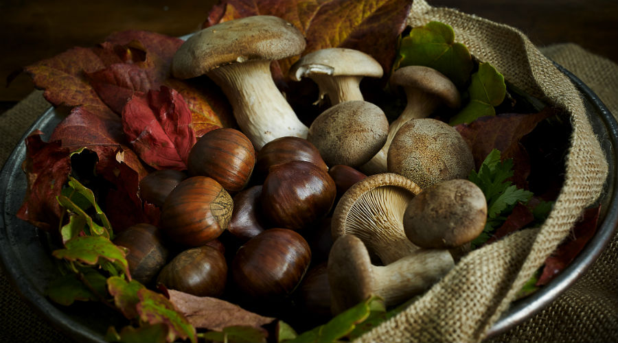 Fête de la châtaigne et champignons Porcino 2019 de Roccamonfina: de la nourriture et du plaisir pour tous