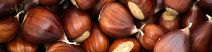 Divin Castagne Festival 2018
