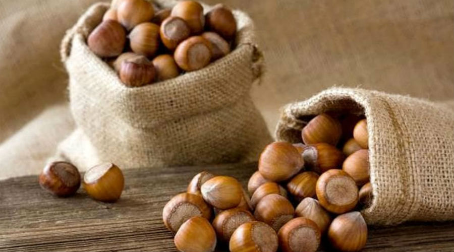 Hazelnuts