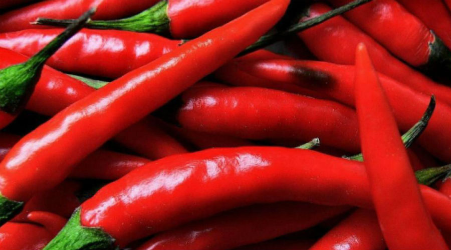 Nápoles Chilli Peppers 2018 Fest en Piazza Carità: sabor y superstición con especias picantes