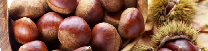 Castagne