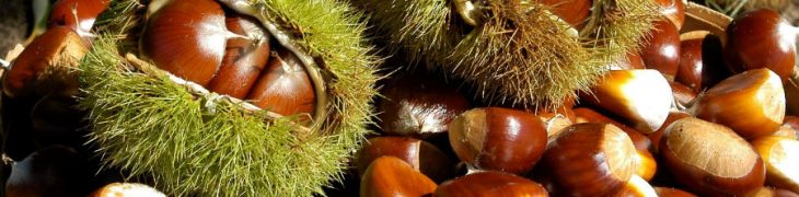 Castagne