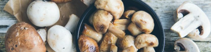 Funghi