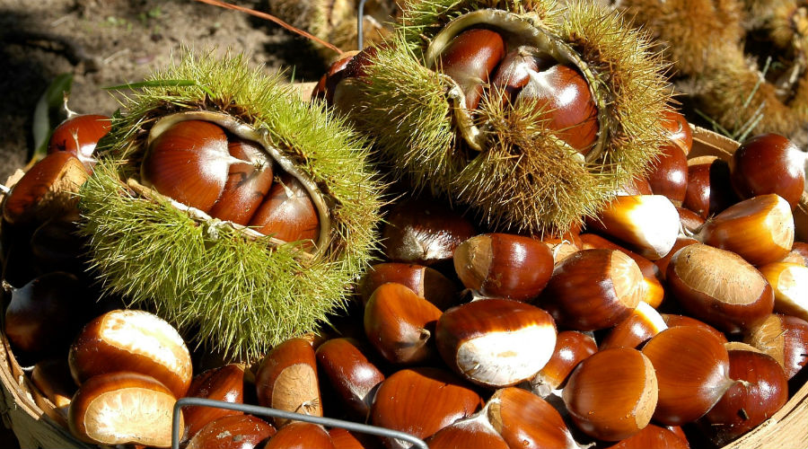 Chestnuts