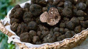 Sagra della castagna e del tartufo 2018 a Bagnoli Irpino con centinaia di stand e musica