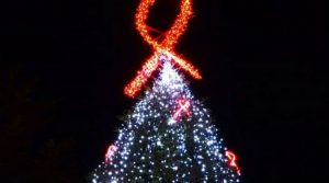شجرة عيد الميلاد Caposele