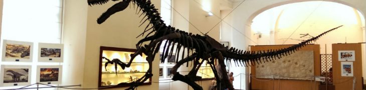 Museo di Paleontologia Napoli