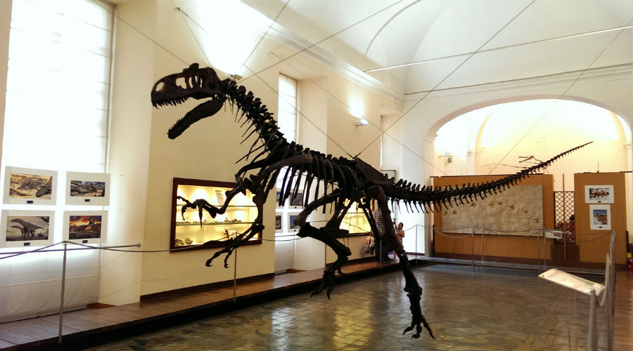 Museum of Paleontology Naples