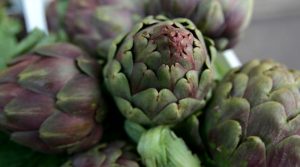 Artichoke Festival