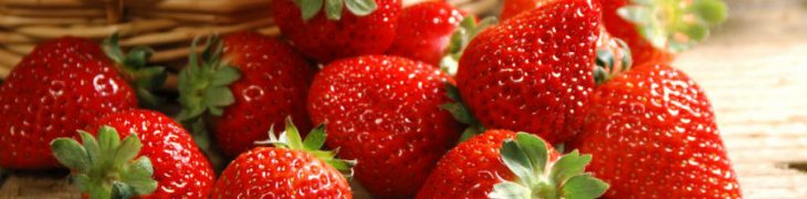 Fragole