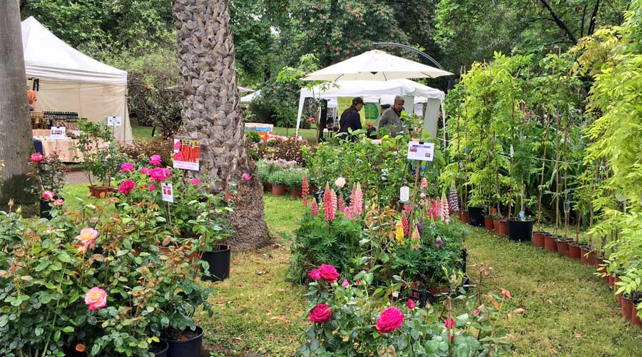 Jardín Botánico de Nápoles