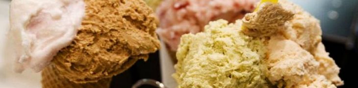 festa del gelato allo zoo di napoli