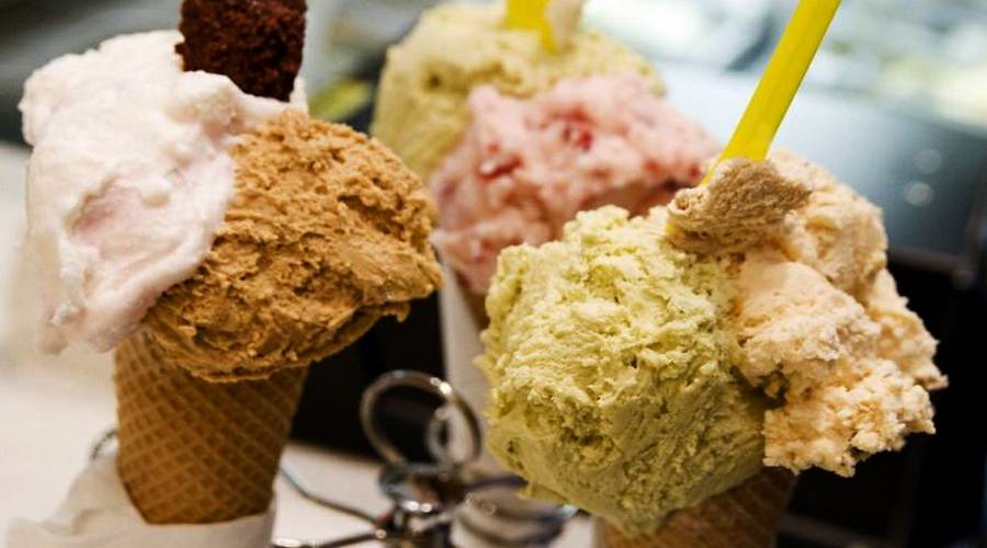 fête des glaces au zoo de Naples