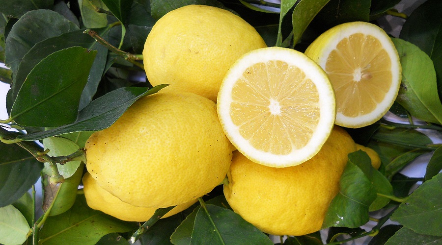 Lemon;