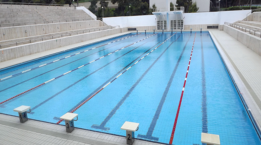 spectacle de piscine