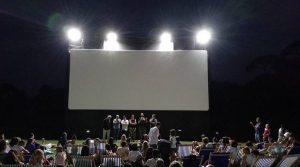 open-air cinema in the forest of capodimonte