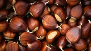 chestnuts