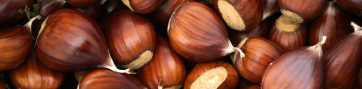 castagne