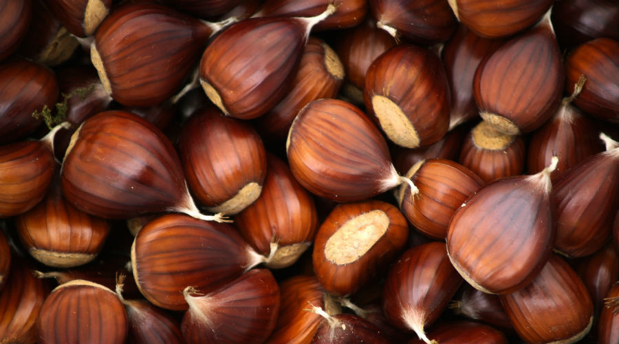 Chestnut and hazelnut festival 2019 in Avella, between tastings and fun