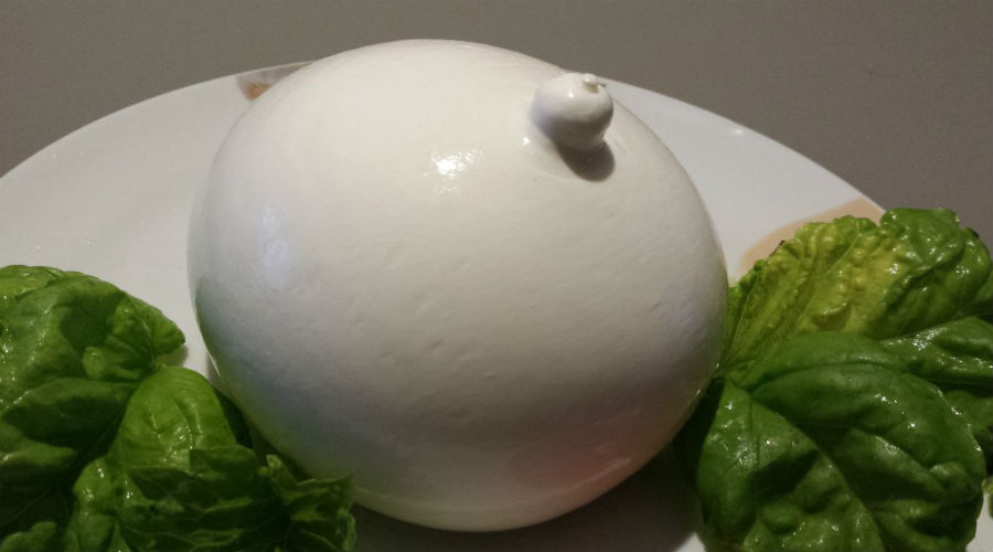 Battaglia 2019 lizzard party: tres días para probar la famosa mozzarella