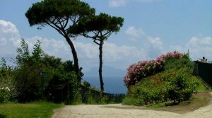 Urban Trekking mit Vogelbeobachtung in Neapel zwischen Gaiola und Virgilian Park