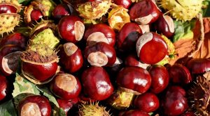 DeGusta a Napoli in via Diaz con castagne, salumi, torrone e dolci
