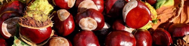 castagne