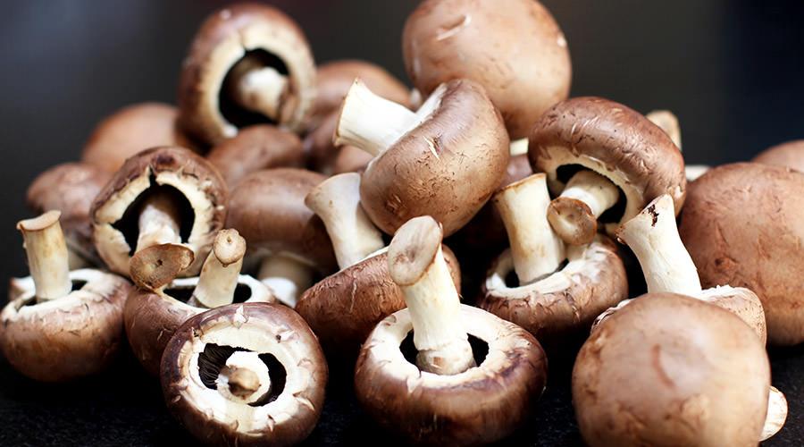 2019 Mushroom Festival in Cusano Mutri, with shows and local products