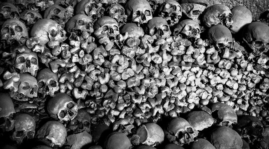 Foto de calaveras de Giancarlo De Luca