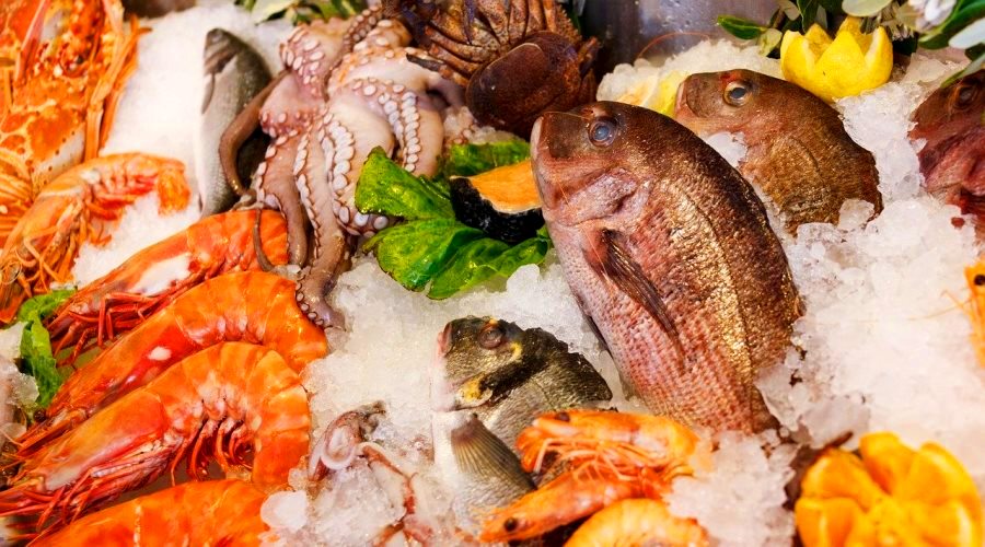 カンパニアの2019ブルーフィッシュ：無料の魚の試食が帰ってきました