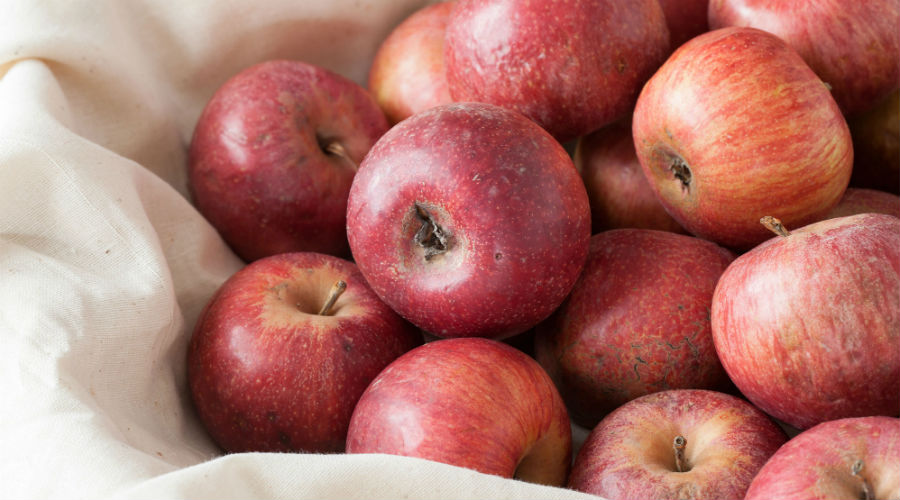 Annurca Fest 2019 in Piazza Dante in Naples, the Annurca Apple Festival between activities and products at km 0