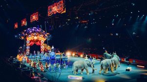 Circo Lidia Togni a Mugnano di Napoli a Natale 2019: una magia intramontabile