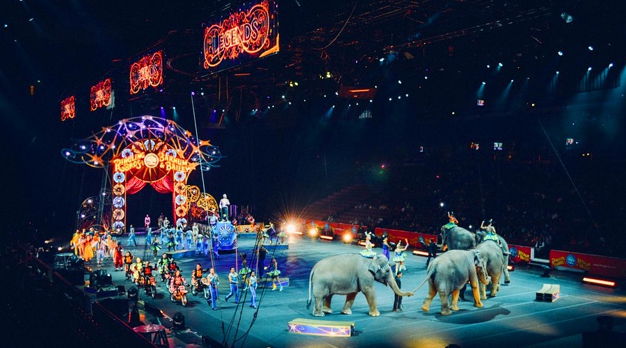 circus