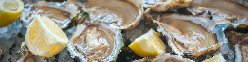 Oysters