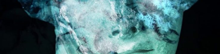 Reperto della mostra Thalassa