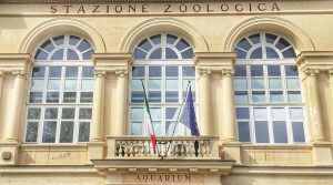 Riapre l’Aquario di Napoli alla Stazione Zoologica Dohrn: nuova vasca per le murene