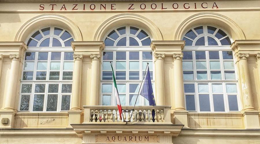 Stazione zoologica - Acquario di Napoli