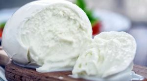 Buffalo Mozzarella