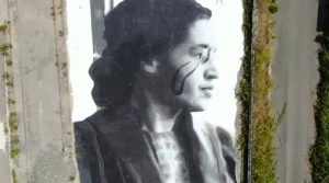Wandbilder für Rosa Parks in Quarto: Jorits enorme Arbeit von 1500 Quadratmetern