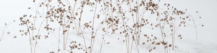 Mostra Christiane Lohr